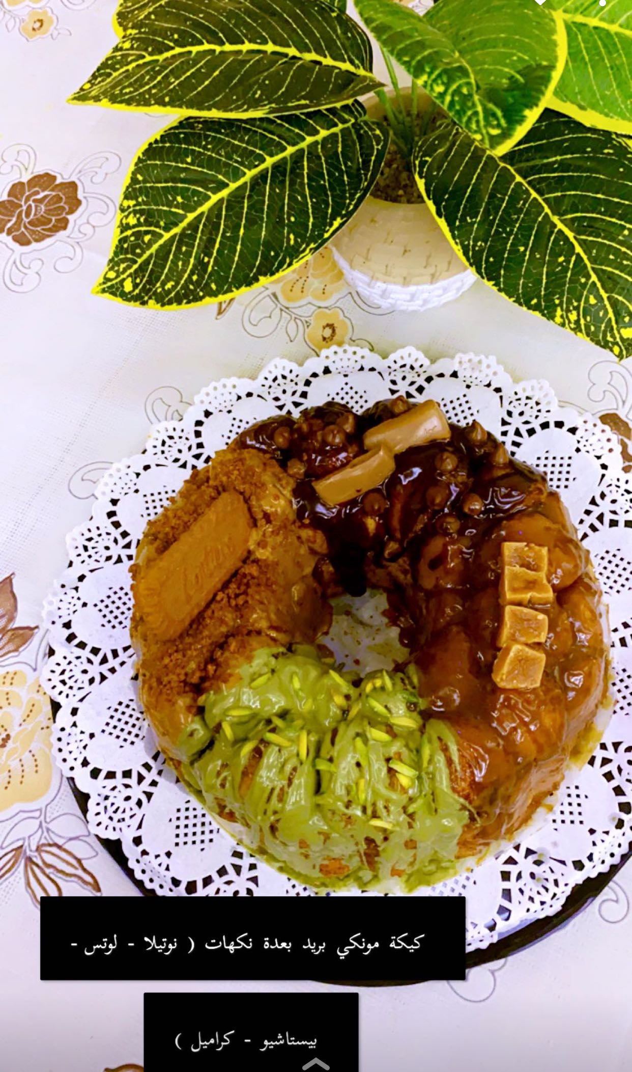 مونكي بريد