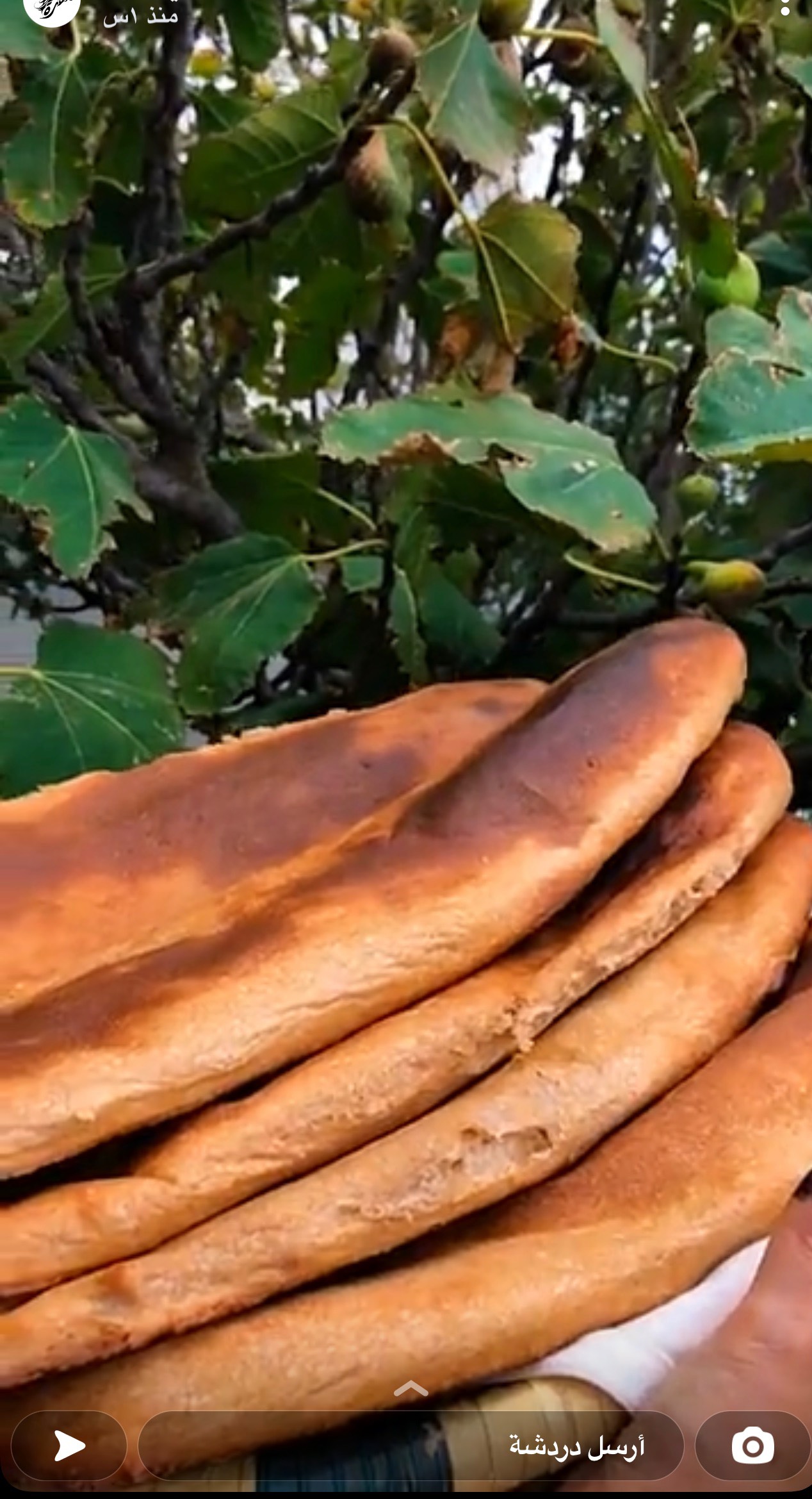 خبز بر