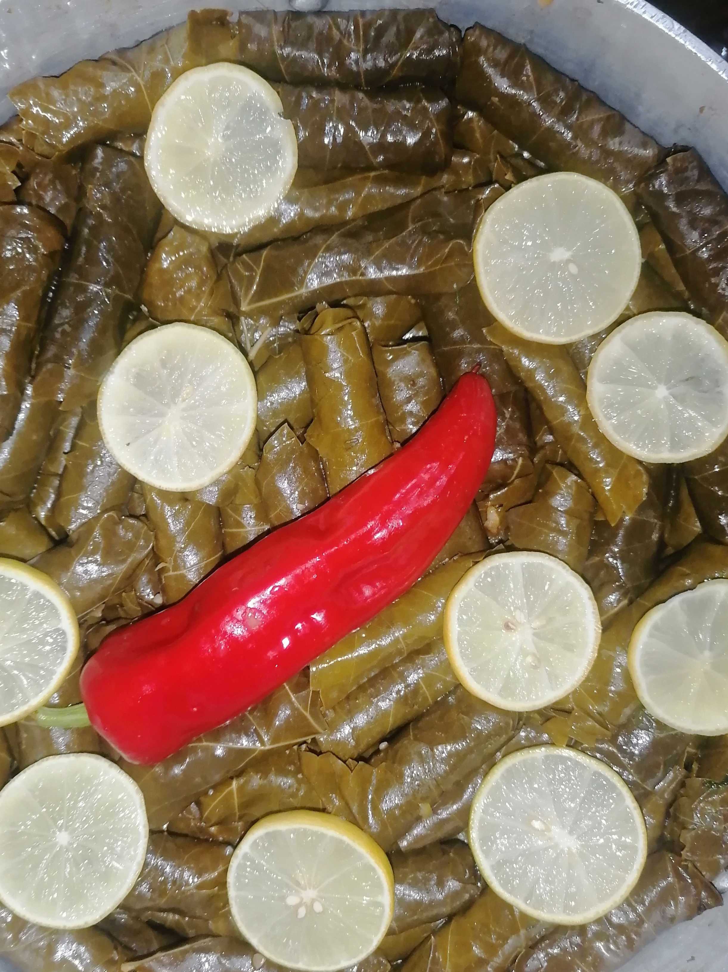 انا حبيبت محمد