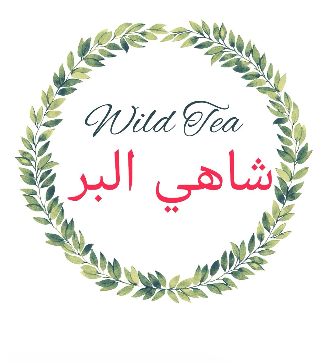 شاي البر wildtea