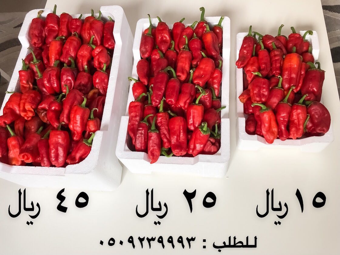 احجام مختلفة .. باسعار مناسبة لنلبي جميع إحتياجاتكم عملائنا الكرام ♥️.. #حبحر_شقراء #حبحر #حبحر_احمر #حبحر_شقرا #مندي #مندي_دجاج #مندي_لحم #مقلقل #ناطع_ولذيذ