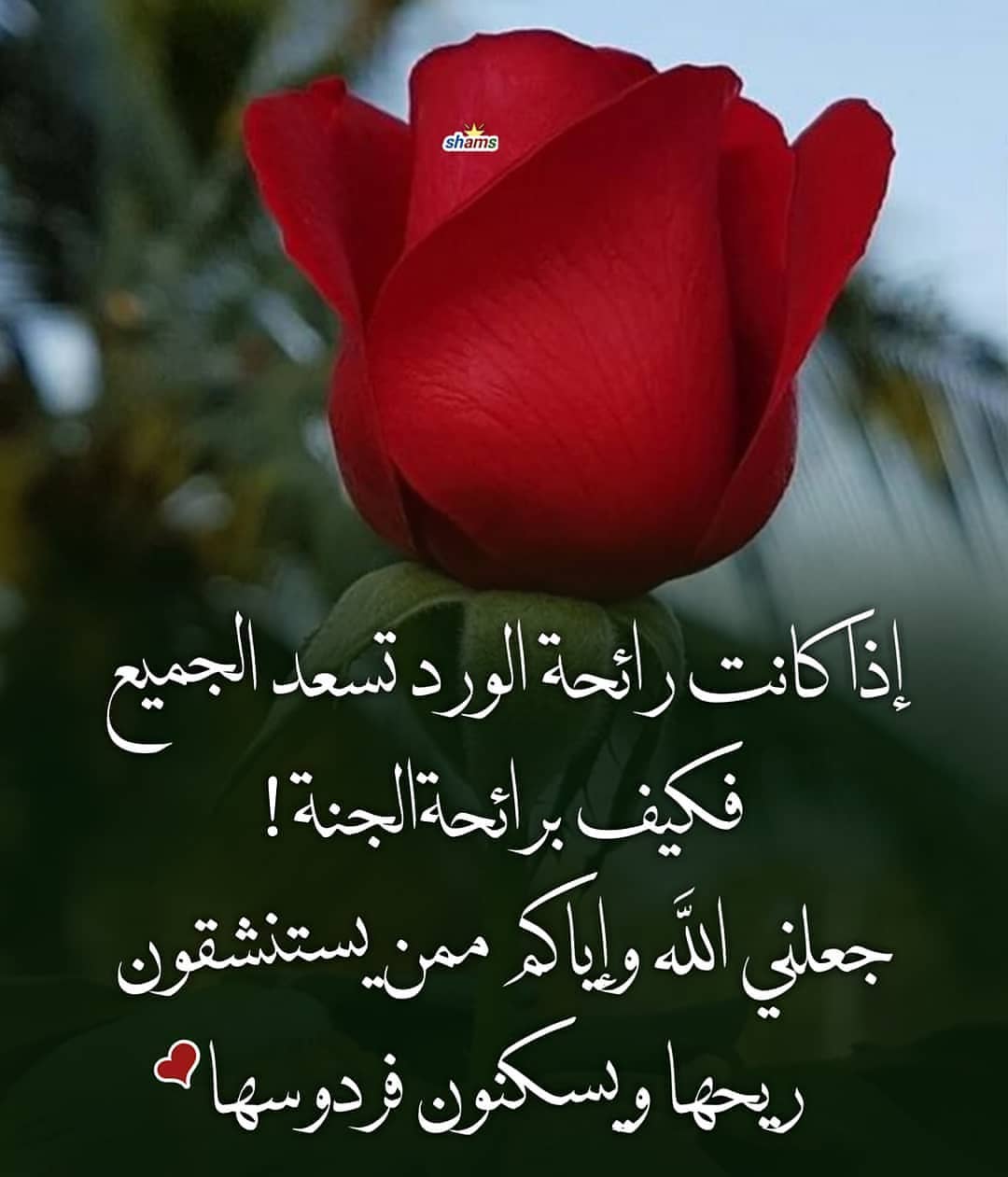 عجينة البف السريعه هشه ولذيذه
طلبيت اختي ام عبد العزيز جهزناها
وعليكم بالعافيه ❤