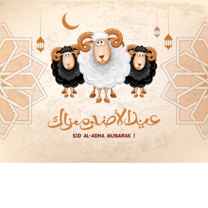 كل عام وانتم بخير ❣️