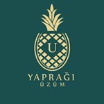 üzüm yapraği