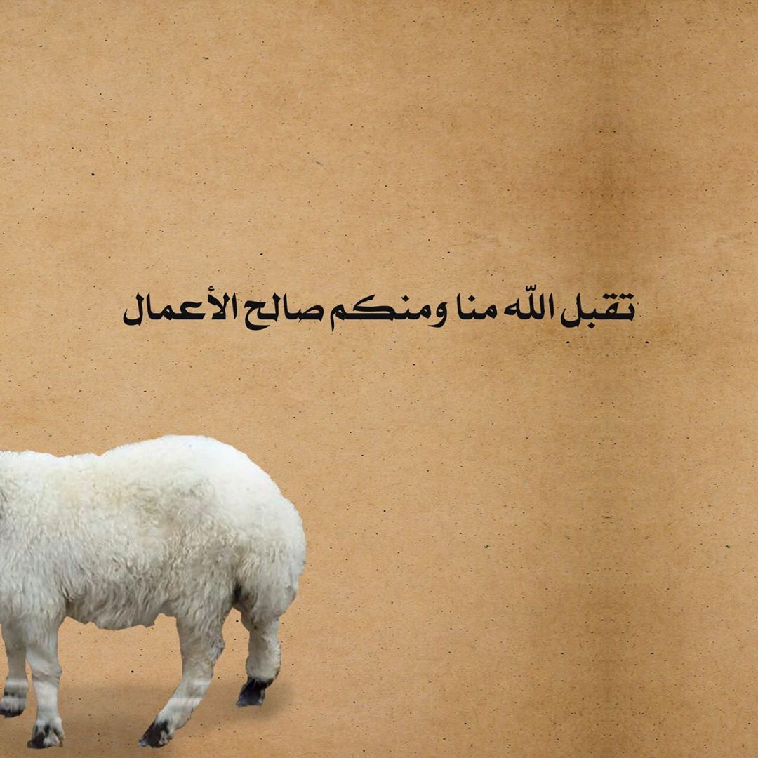 تقبل الله منا ومنكم صالح الأعمال
حج مبرور وسعي مشكور وذنب مغفور #عيد_الاضحى