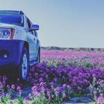 مندوب الرياض توصيل0580677088