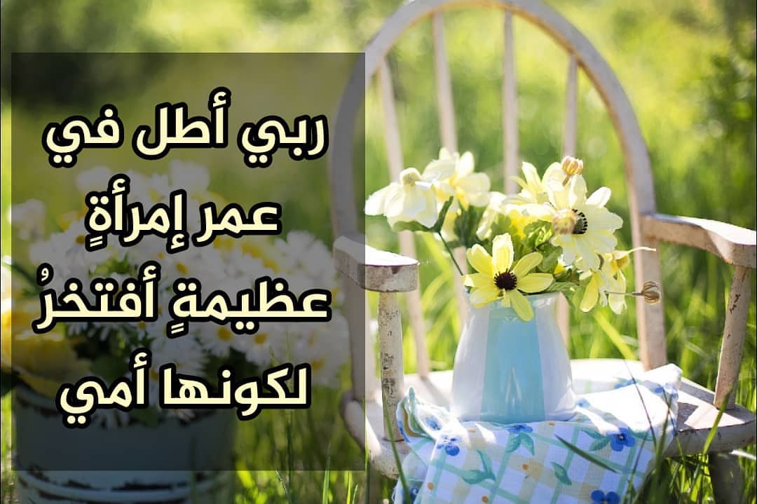 يارب تخليها لنا ست الكل ❤
