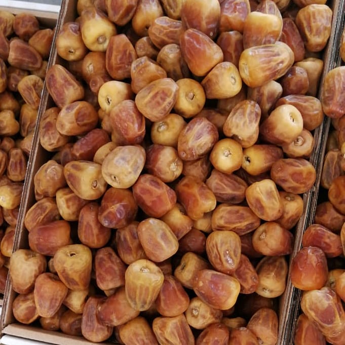 سكري أصفر فاخر