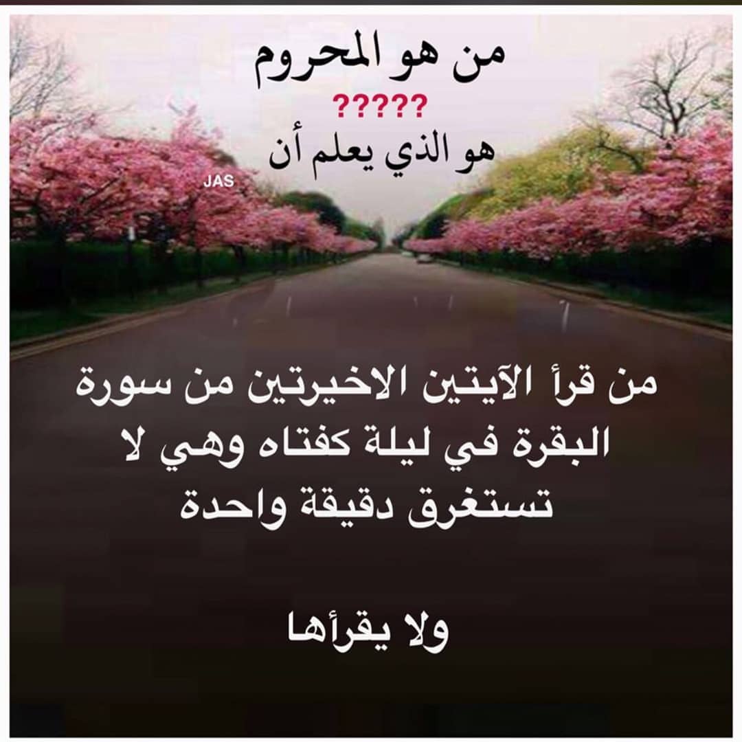 #الحمدلله_عدد_كل_شيء_والحمدلله_ملء_كل_شيء#الحمدلله_رب_العالمين_حمدا_كثيرا_طيبا_مباركا_فيه❤️