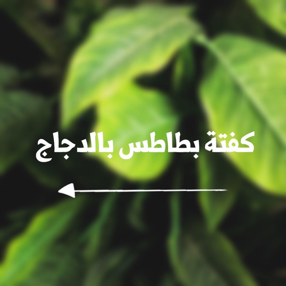 -
كفتة بطاطس بالدجاج