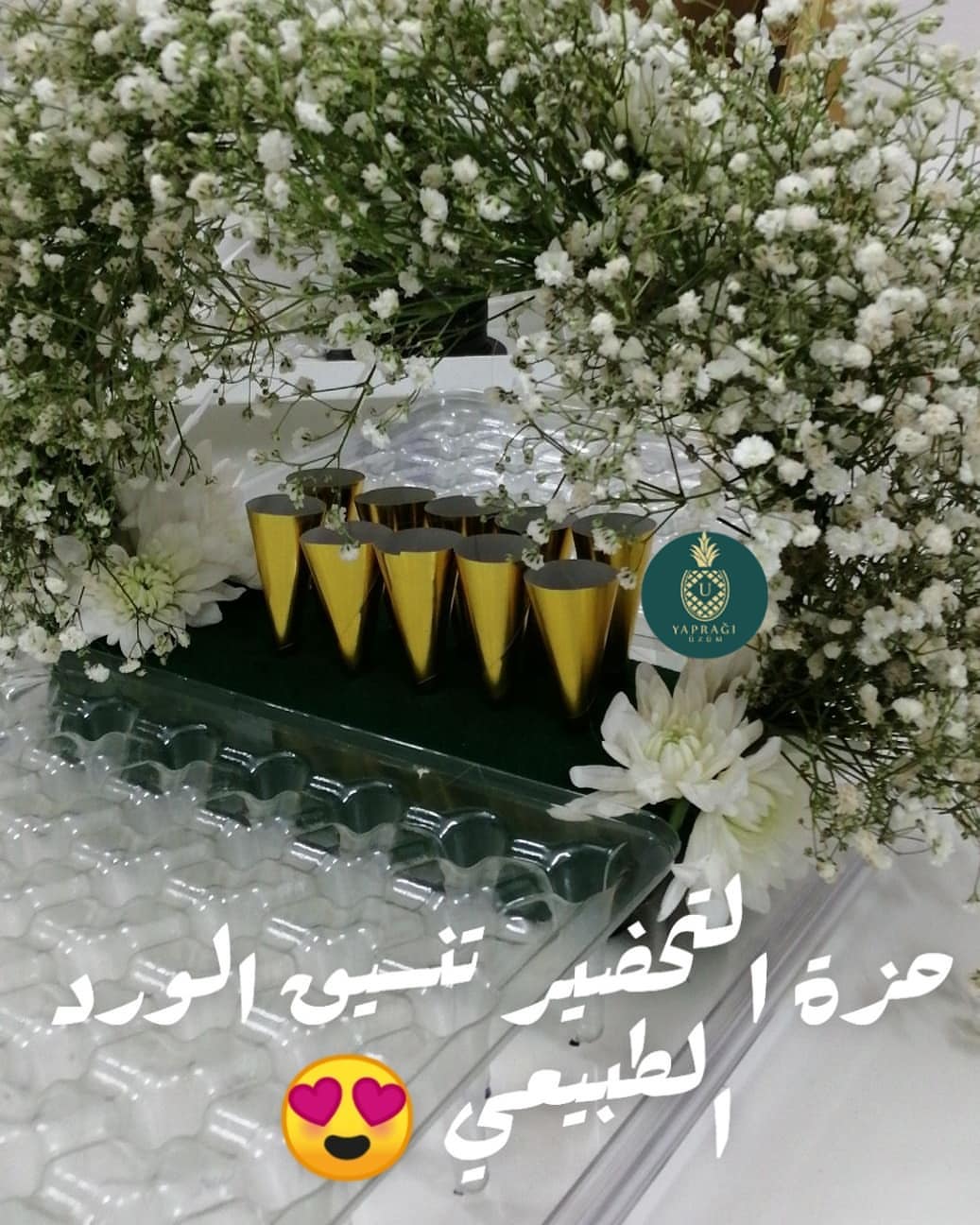 حزة تحضير صينية اليوباش
.
تقديمات اقماع الكونو الاسبانيه ..#ورق_عنب_يزم_يبرق .
.
مزينه بزهرة الجبسوفيليا الانيقه
.
١٠٠حبة ب٤٠٠ريال شامل التزين والتوصيل لداخل جدة فقط
.
للطلب والاستفسار التواصل عن طريق الواتس 0599064676
.
.
#ورق_عنب_سبايسي
#ورق_عنب_بدبس_الرمان #ورق_عنب_سبيشل #ورق_عنب_حامض #ورق_عنب_بالليمون_زيت_زيتون #ورق_عنب_بالليمون #ورق_عنب_بالزيت #ورق_عنب_لذيذ #ورق_عنب_لذيذ_جدا #ورق_عنب_بالزيت_زيتون #طلبيات #استقبال_مواليد #استقبالات#ابداع#ابداعي#ورق_عنب_قلوب