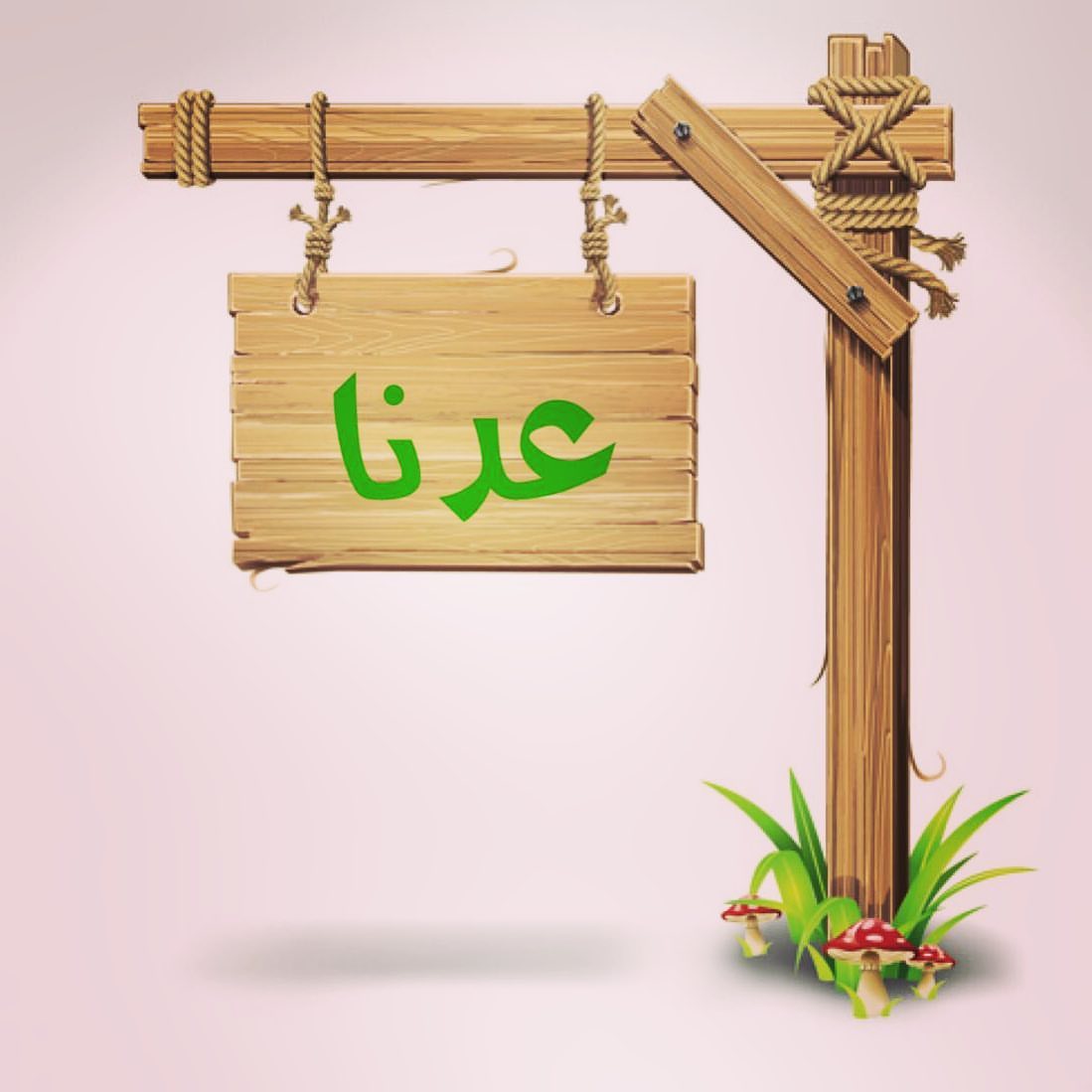 عملاؤنا الكرام..
عدنا لاستقبال طلباتكم
وحشتونا
يفضل الطلب قبل ٢ - ٣ أيام.
(أسعار خاصة بمناسبة عودتنا )