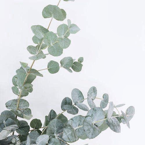 ✨