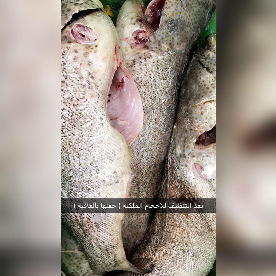 نتشرف بخدمتكم في توفير .
( الأسماك و الروبيان ) الطازجه والبحريه .
توصيل الى باب بيت العميل .
تغليف بطريقه مناسبه وفي ثلاجه فلين خاصه .
في حال وصول الطلبيه وعندك أي ملاحظات لك الحق الكامل في إسترجاع فلوسك ونجيك نستلم بضاعتنا .
وبإذن الله نسعى إلى رضاكم وراحتكم ...
#أسماك #سمك #الشرقيه #صيد #حداق #الرياض #الدمام #الخبر #الجبيل #القطيف #الاحساء #كنعد #هامور #روبيان #سبيطي #شعري #زبيدي #سمك_شوي #هامور_عربي #سلمون #توصيل_اسماك #اسماك_بحريه #اسماك_الرياض #أسماك_الرياض