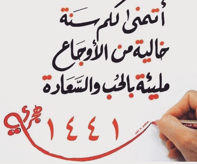 ساند ويش تونة بخضار