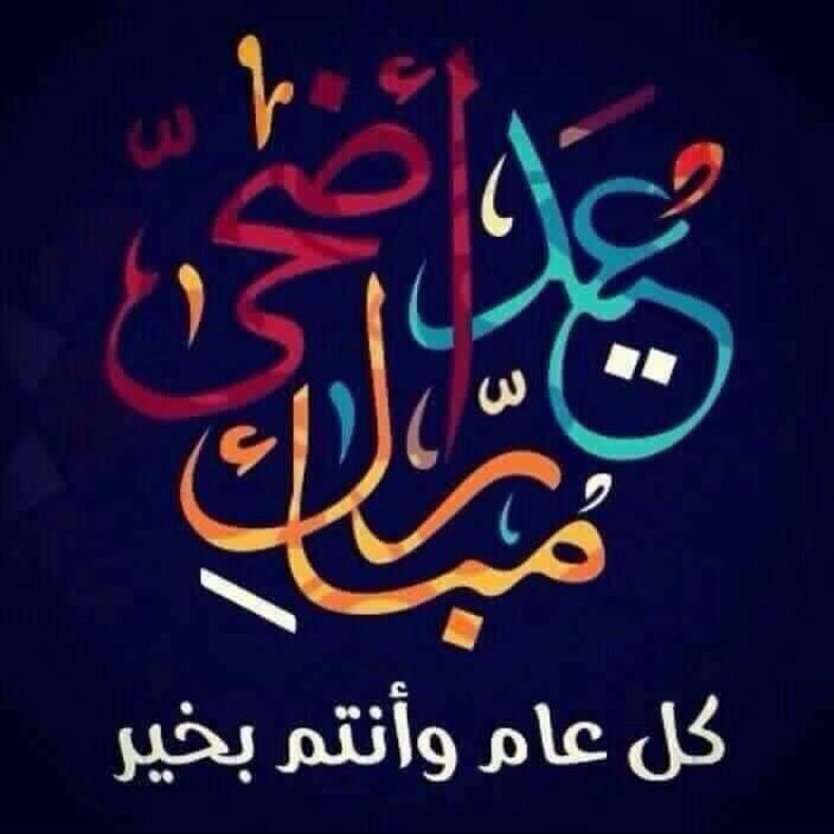 ساند ويش تونة بخضار