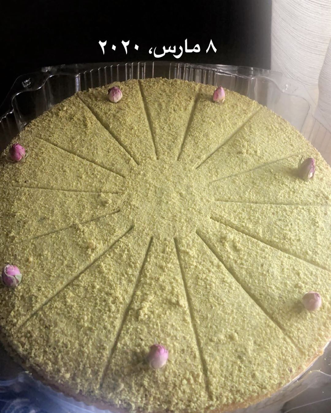 عروستنا هيا بسبوسة الفستق بحشوة القشطة الكريمية #بسبوسة#لوتس#بسبوسة_لوتس#بسبوسة_كنافة#بسبوسة_أوريو#بسبوسة_فستق#تشيز كيك #تشيز لوتس#تشيز جالكسي #تشيز توت#جديد 