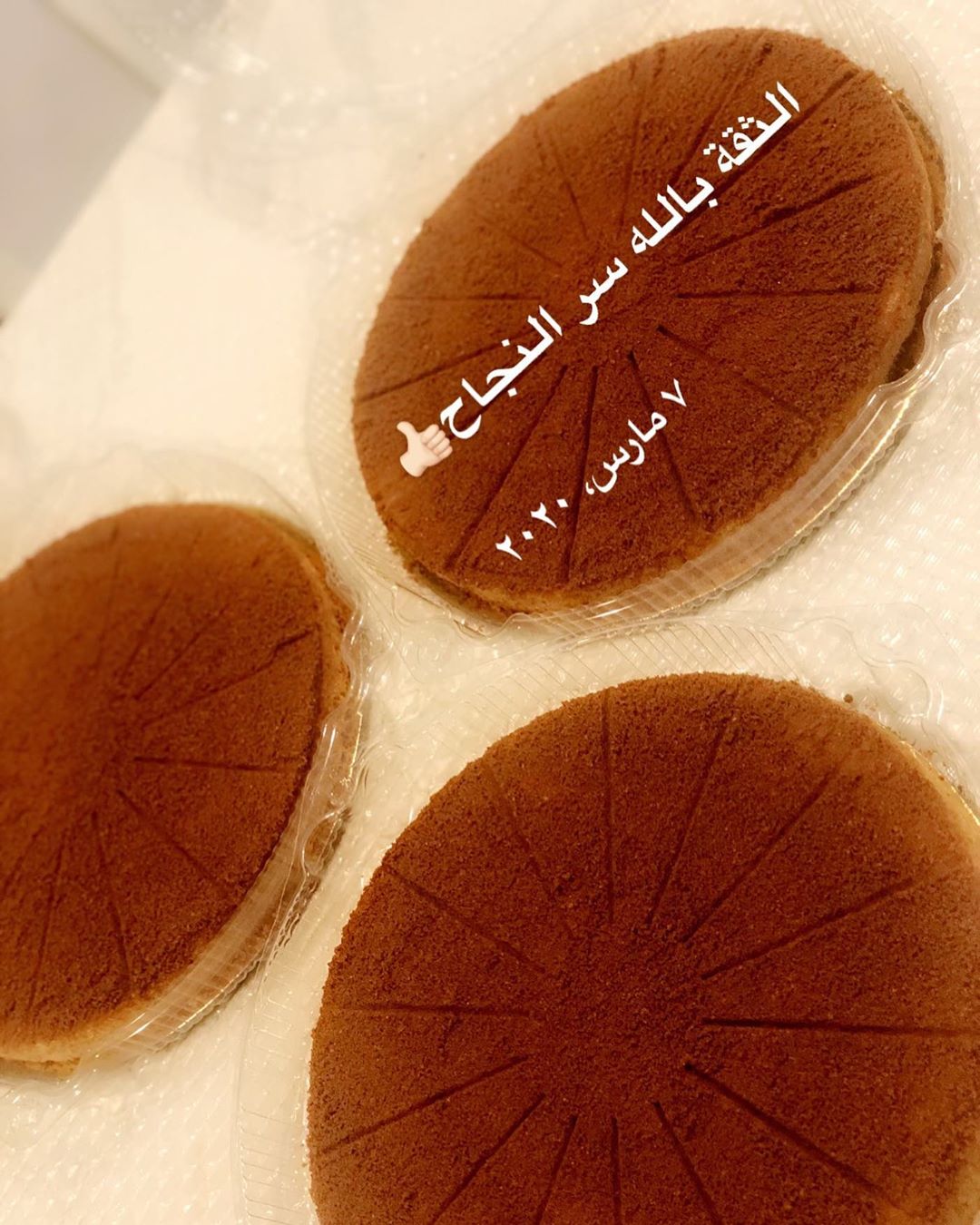 ♥️♥️♥️♥️♥️♥️♥️♥️ #بسبوسة#لوتس#بسبوسة_لوتس#بسبوسة_كنافة#بسبوسة_أوريو#بسبوسة_فستق#تشيز كيك #تشيز لوتس#تشيز جالكسي #تشيز توت#جديد 
