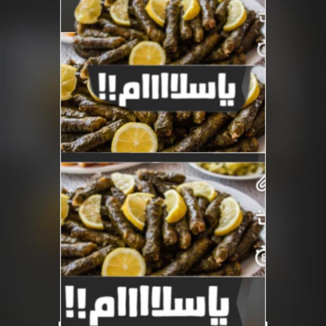 للطلب التواصل على الرقم ٠٥٦٥٦٠٤٥٢٨