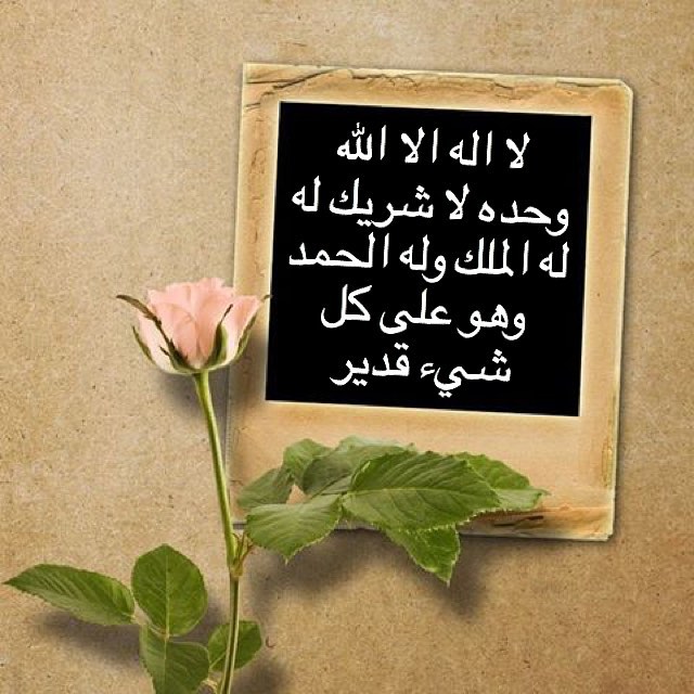 #فواكه_مجففه #فواكه_مجففة #موز#تفاح #تفاح_اخضر #برتقال #منجا #كيوي #كمثرى
