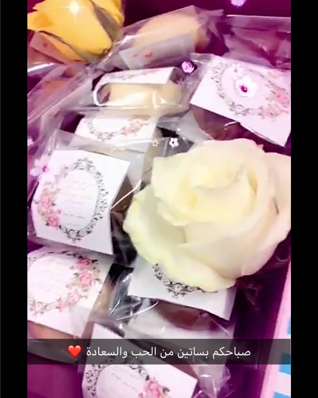 بالعافيه على الناس الذوق