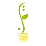 يُمن