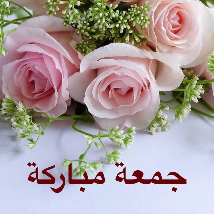 #حار #حراق #سبايسي #فلفل_حار #سمبل_بيتي #صلصات #صوص #طبخ #طبيخ #اكل #طباخات #فلفل #سمبل #توصيل_طلبات #مكة #nosa__ sauce