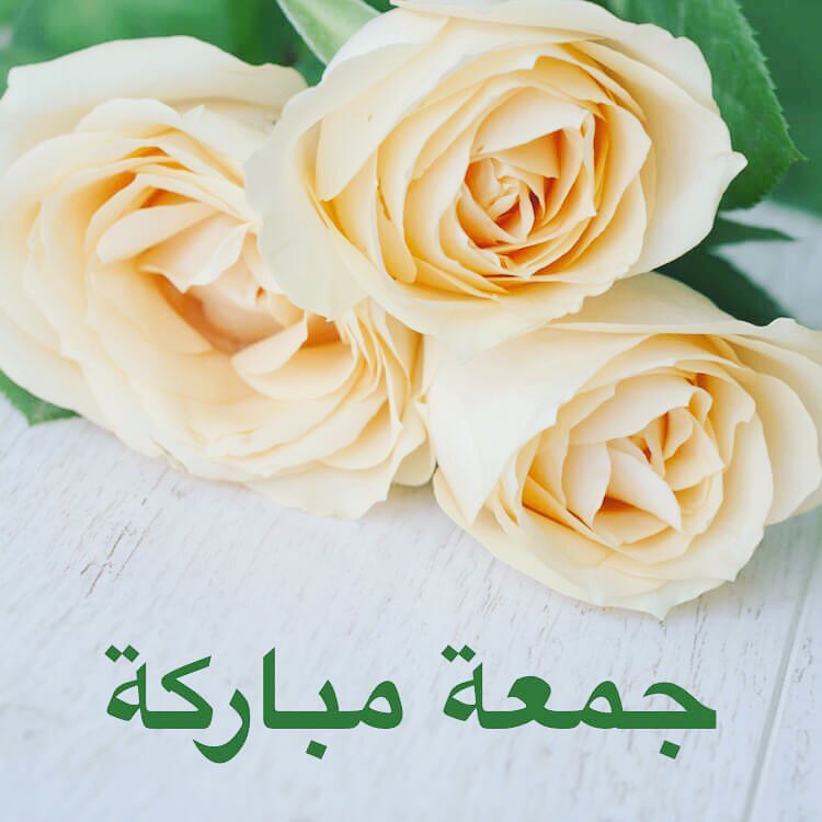 #حار #حراق #سبايسي #فلفل_حار #سمبل_بيتي #صلصات #صوص #طبخ #طبيخ #اكل #طباخات #فلفل #سمبل #توصيل_طلبات #مكة