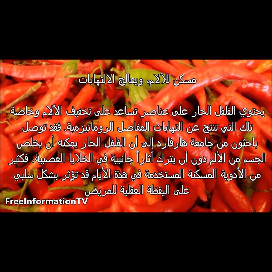 #حار #حراق #سبايسي #فلفل_حار #سمبل_بيتي #صلصات #صوص #طبخ #طبيخ #اكل #طباخات #فلفل #سمبل #توصيل_طلبات #مكة