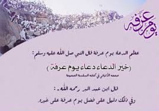 يوم فضيل