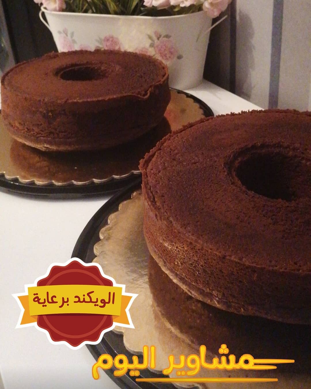 مساء الخير يا حلوين
الحلا جاهز ويخلص بسرعه لحقو عليه
اليوم و بإذن الله كل ويك اند (خميس /جمعة /سبت) راح تتوفر ذا تشوكو لافر لدى قطوف و حلا
١_الخبر (فرع العقربيه)
٢_ الدمام(فرع النزهة) & (الفاخريه)
بثقتكم نستمر✌️ #الخبر #السعوديه#تاجرات_الخبر #الدمام
#1441 #عام_دراسي_جديد #عام_الخير #عام_١٤٤١هـ
#صباح_الخير #صباح_اول_يوم_دوام
#الخبر #السعوديه #تاجرات_الخبر #اسر_منتجه #اسر_منتجة #بسبوسةالقشطه #طازج_يوميا #حلا #
#cake #magic_cake #sweets #caramel
#كيك #كيكة #حلويات_فن #تاجرات_الخبر #تاجرات_الشرقية #قطوف_وحلا #قطوف_و_حلا #العقربية_الخبر #العقربيه_الخبر #الشرقيه #صنع_بحب #حفلات