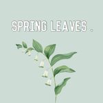 Spring leaves.