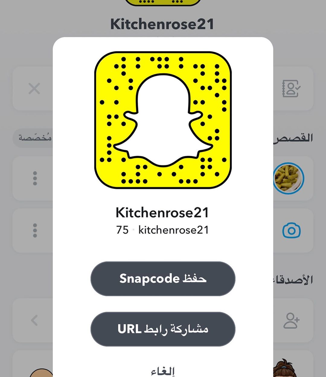 حياكم ع سنابي اتشرف بالإضافة❤️