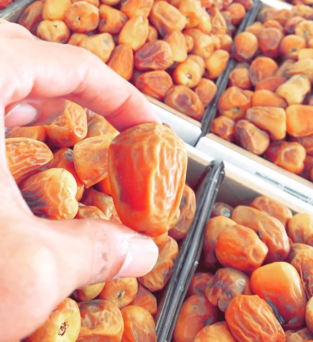 #سكري_القصيم_ملكي
#jana_dates