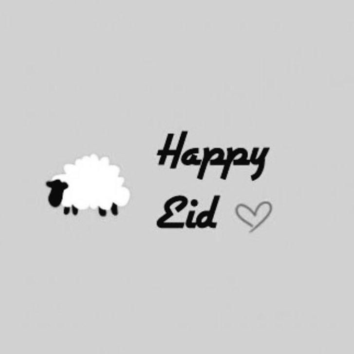 كل عام و انتم بخير