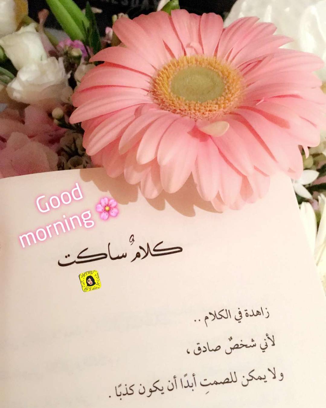 وفي صباحي اسألك إلهّي ان يكتمل يومنا بلا تعب ولا قلق ولا حزن
وبكَ اصبحنا يا الله #صباحكم_خير #goodmorning #happy #day #كتاب اليوم #خلف الشبابيك #هناء_الجابر ✍