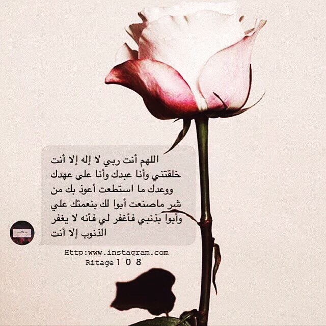 اللهم اغفر لي ولوالدّي والمؤمنين والمؤمنات والمسلمين والمسلمات الاحياء منهم والاموات
رب ارحمهما كما ربياني صغيرا ..
اللهم صل وسلم على محمد وعلى آل محمد ، كما صليت وباركت على ابراهيم وآل ابراهيم انك حميد مجيد ..