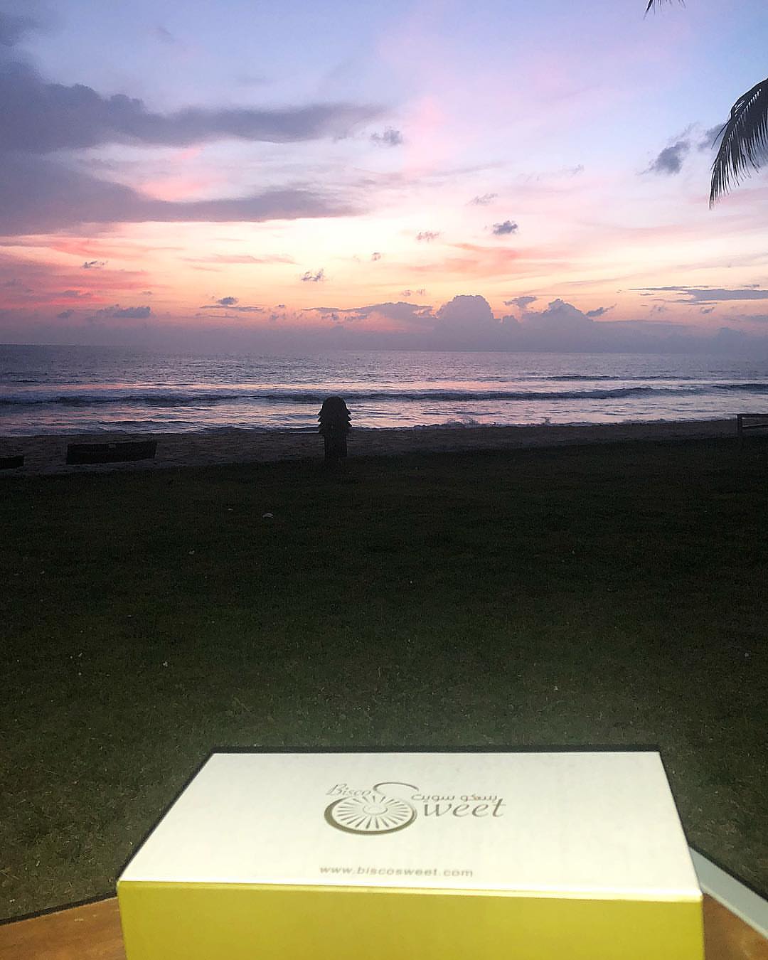 Share your Bisco Sweet boxes on vacation and don’t forget to tag us !
شاركونا صور بسكو سويت في عطلتكم عبر الانستقرام !