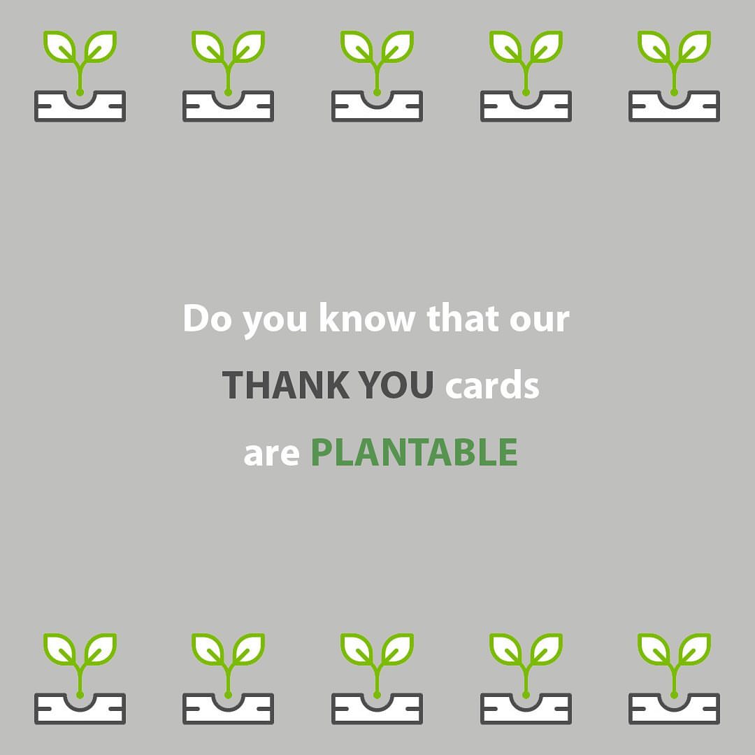 Plant your own mini garden when you receive a THANK YOU card with every order .
.
#خالي_من_الجلوتين #جلوتين_فري #جلوتين #سيلياك #الامارات #طعام #اشتراك #نباتي #خالي_من_الحليب #خالي_من_البيض #خالي_من_المكسرات #نباتي #صديق_للبيئة #جلوتين_فري_الإمارات #صحي
#TMGF #glutenfree #gluten #coeliac #uae #food #subscription #vegan #vegetarian #lowfodmap #dairyfree #eggfree #nutfree #ecofriendly #glutenfreeuae