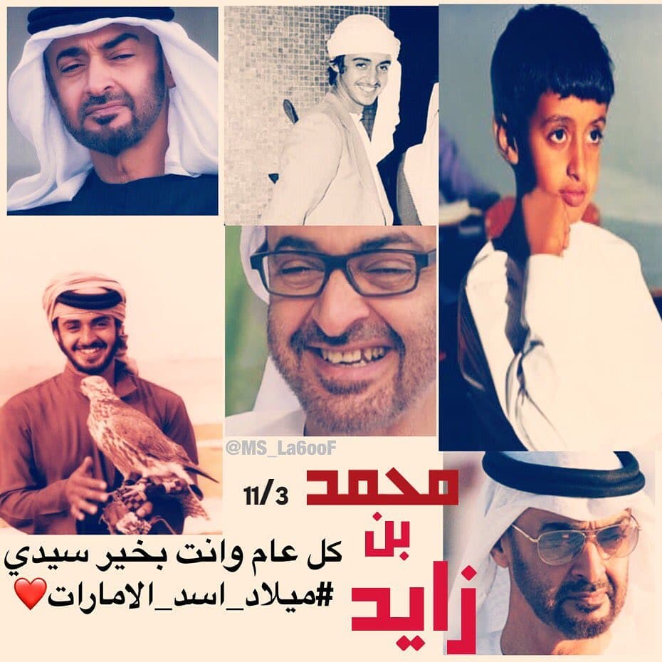#ميلاد_أسد_الإمارات