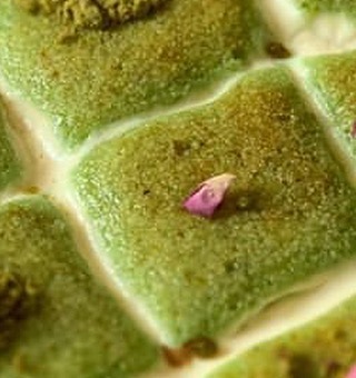 لا يمكن أن تبهُت وأنت تملك صديقًا جيدًا.
#thedeercake