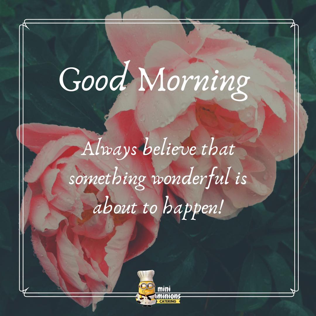 صباحكم فرح ❤️❤️ #goodmorning #positivevibes #happymorning #workdaylife #breakfasttime #minisandwich #minidesserts #minifood #minifoods #minidonuts #minitarts #cateringservice #foodloves #معجنات_ميني #ورق_عنب #فطور #صباح_الخير #صباحكم_سعاده #ضيافة_مميزة #فطوركم #طلبات_اكل #سندويشات_ميني #حلويات_ميني