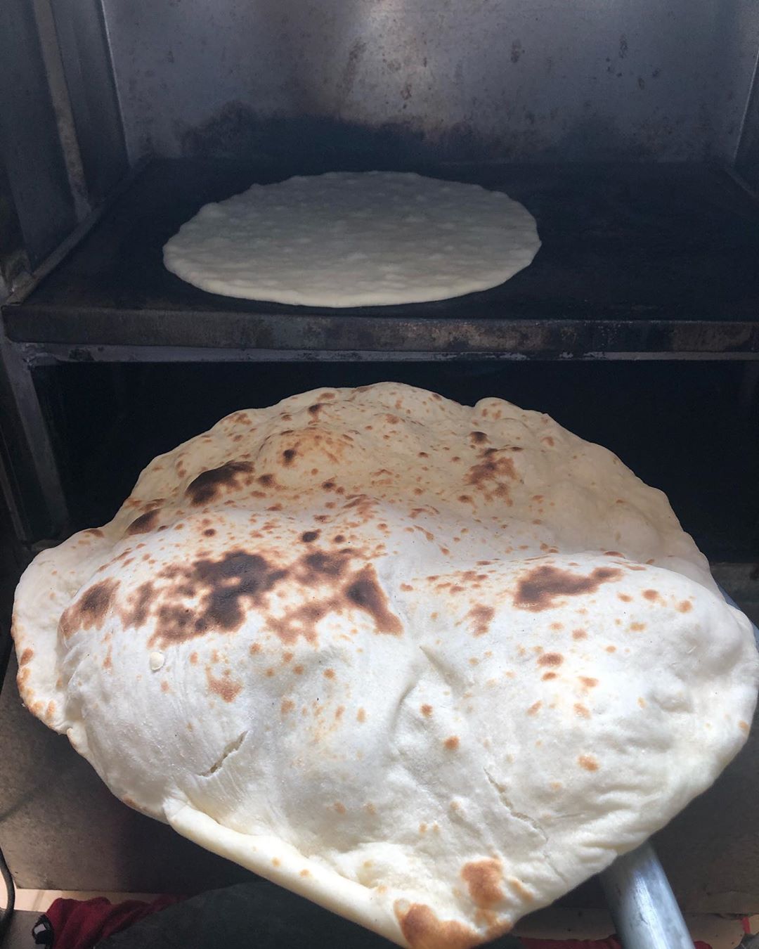 #خبز كل يوم أنا بيتي مع عيلتي وأولادي وأحنا بخير هي أكبر نعمة يارب لك الحمد والشكر على ما نحن فيه يارب ترفع هالبلاء وتحمي كل العالم وتحمي الجميع وتحميكم يا أحلى وأغلى متابعين يا رب ع طول تكونوا بخير وصحة وعافية ❤️ ة ❤️#طريقة_العجينة
كيلو طحين
ملعقة طعام ملح
ملعقة طعام خميرة
ماء فاتر للعجن
نخلط كل المكونات ونتركها حتى تختمر ويتضاعف حجمها في مكان دافئ
اذا بدنا العجين يتختمر بسرعه ولازم ماء العجن دافئ يسرع في تخمير العجين أنا أكثر تحضيري للعجين بكون بالليل اذا بدي أخبز الصبح وبخفف من كمية الخميرة طبعاً بحط بطرف الملعقة خميرة فقط وأنتو حسب وقتكم وحسب احتياجكم هالكمية عملت 6 خبزات حجم كبير طبعاً أنت ممكن تصغر معكم وتعملوها من 10 الى 12 خبزات
أنا بخبز على فرن خاص للخبز ويصير ايضا للطبخ للصواني وغيرها فيكم تخبزوا على فرن الطباخ أو على مقلاة على الطباخ على نار هادية مع التقليب ممكن على الصاج حسب شو متوفر عندكم
