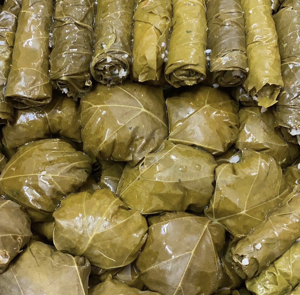 كبيبة ورق عنب