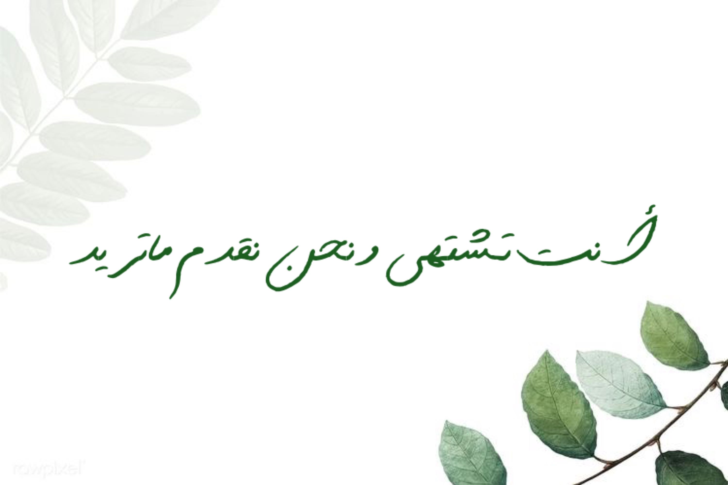 مسخن مقليات