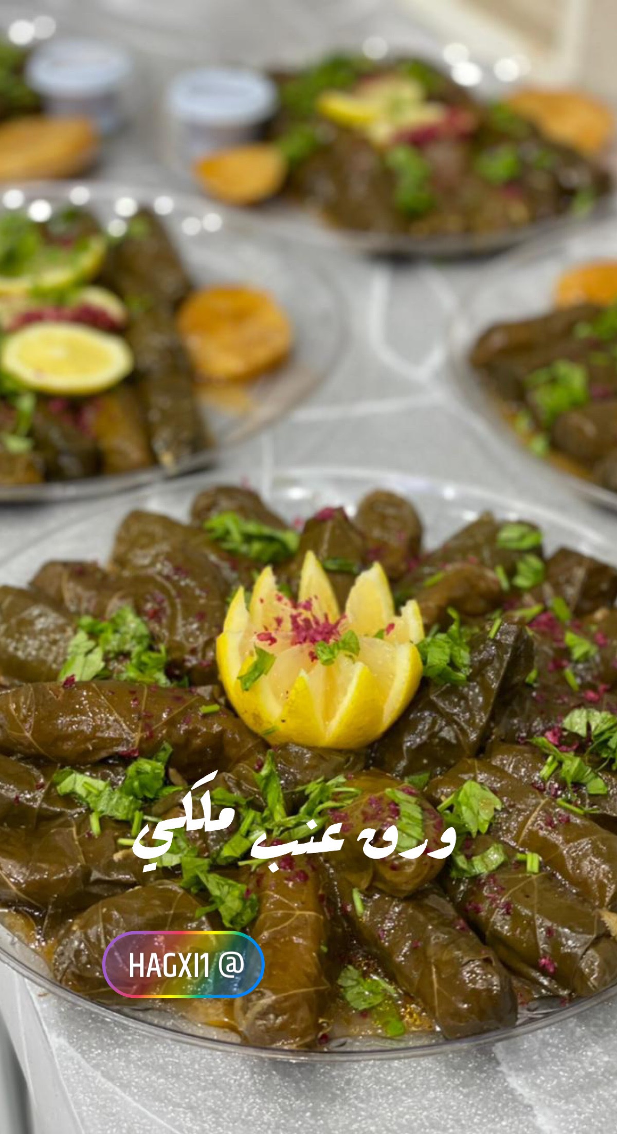 ورق عنب ملكي